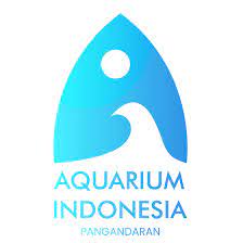 Lowongan-Kerja-Bagian-Admin-Gudang-di-Aquarium-Indonesia-Penempatan-Pangandaran-Deadline-Sampai-31-Oktober-2023