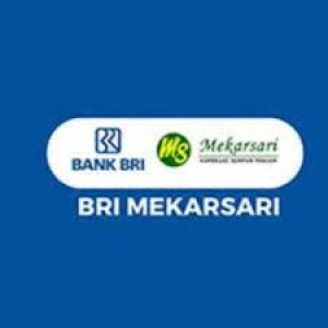 Lowongan Kerja BANK BRI Mekarsari Penempatan Tasikmalaya : Terbuka Untuk Pria atau Wanita
