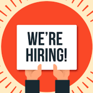 Lowongan Kerja Jingga Creative Pangandaran, Cek Selengkapnya disini!