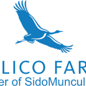 Lulusan SMA SMK Merapat! PT Berlico Mulia Farma Buka Lowongan Kerja Terbaru, Simak Syarat dan Cara Daftarnya