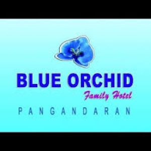 Lowongan Kerja Blue Orchid Family Hotel Pangandaran, Pendidikan Minimal SMA SMK Sederajat