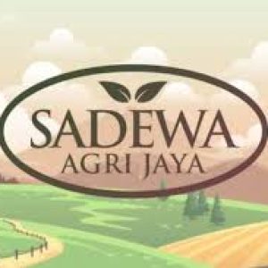Lowongan Kerja Terbaru di CV Sadewa Agri Jaya Penempatan Tasikmalaya dan Ciamis, Pendidikan Minimal SMA