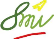 Lowongan Kerja PT. Sarana Multiguna Indonesia, Walk In Interview : Cek Selengkapnya disini!