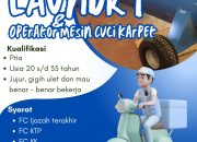 Lowongan Kerja: Delivery Laundry & Operator Mesin Cuci Karpet di Tasikmalaya