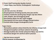 Peluang Karir Menarik di MPAY Jasa Setrika Tasikmalaya! Cek Selengkapnya disini