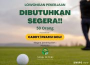 Lowongan Kerja Internasional di PT. Mardel Anugerah International, Cek Selengkapnya disini