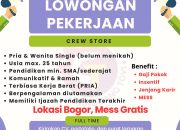 Lowongan Kerja di Gandoang Toys Bogor, Minimal Lulusan SMA SMK