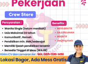 Lowongan Kerja Crew Store – Gandoang Toys Bogor