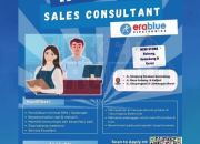 Lowongan Kerja Sales Consultant di Erablue Electronics (Cabang Subang, Sumedang, & Garut)