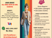 Lowongan Kerja Sales (SDS & SGS) XLSmart di Subang & Seluruh Area Kota/Kabupaten Jawa Barat Terbaru 2025