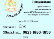 Peluang Usaha Jualan Online Kerja Fleksibel & WFH (Work From Home) untuk Umum