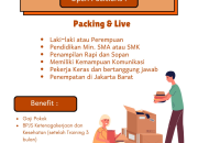 Lowongan Kerja Packing & Live di PT. Fulki Hasya (Penempatan Jakarta Barat)
