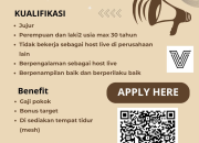 Lowongan Kerja Host Live Streaming di Vibesbags Singaparna Tasikmalaya 2025