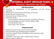 Lowongan Kerja Internal Audit Broiler Farm 2026 – Penempatan Jabar & Jateng (Fresh Graduate Welcome)