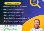 Lowongan Kerja Host Live TikTok & Editor Vidio Konten Tasikmalaya