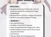 Lowongan Kerja Vilora Tasikmalaya Terbaru 2026: Host Live & Staff Gudang