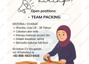 Lowongan Kerja Team Packing Abelly Terbaru 2026