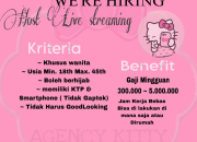 Lowongan Kerja Host Live Streaming Agency Kitty 2026: Kerja Fleksibel dari Rumah