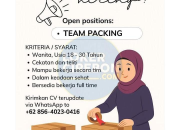 Lowongan Kerja Team Packing di Abelly Terbaru Maret 2026