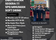 Lowongan Kerja SPG Minuman Soft Drink CV Kirana Project 2026