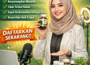 Lowongan Kerja Host Live Streaming Produk Herbal Terbaru 2026