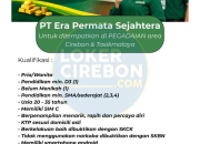 Lowongan Kerja PT Era Permata Sejahtera 2026: Rekrutmen Pegadaian Area Cirebon & Tasikmalaya