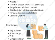 Lowongan Kerja Tim Packing Danmar Shop Terbaru 2026