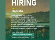 Lowongan Kerja Barista Badami Coffee April 2026: Minimal SMA/SMK, Daftar Sekarang!