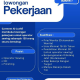 Lowongan Kerja Garment Al-Luthfi Tasikmalaya: Rekrutmen 150 Operator Sewing, QC, & Finishing (Mei 2026)