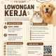 Lowongan Kerja Kasir & Pramuniaga Hammielion Petshop Tasikmalaya – Singaparna Terbaru 2026