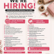 Lowongan Kerja Staff Packing & Part Time Advertising di Keyra Packing Gift Shop Tasikmalaya Terbaru 2026