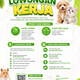 Lowongan Kerja Pet Shop Tasikmalaya & Singaparna Terbaru (Kasir/Admin & Staff Toko)