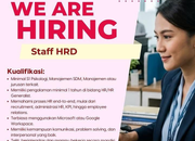 Lowongan Kerja Staff HRD suryatokoku.id Cirebon Timur Terbaru 2026