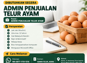 Lowongan Kerja Admin Penjualan Telur Ayam Barokah Usaha Telur Tasikmalaya Terbaru 2026